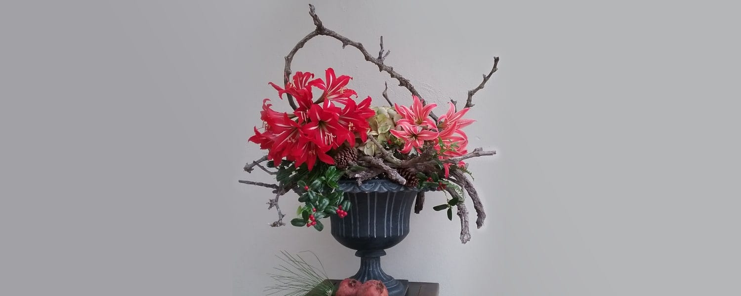 The American Floral Trends Forecast – Holiday Trends