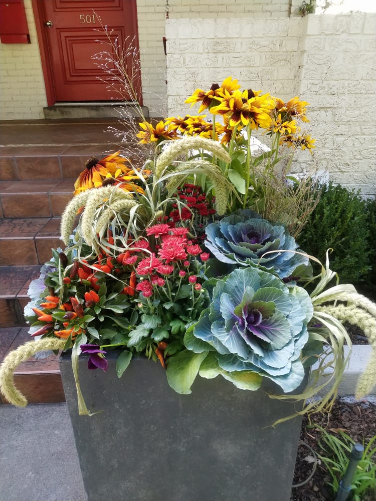 Contain yourself: Gearing up for fall with container garden ideas