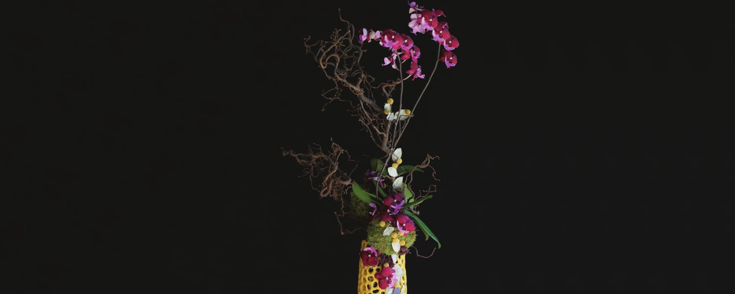Elevating Orchids to Art