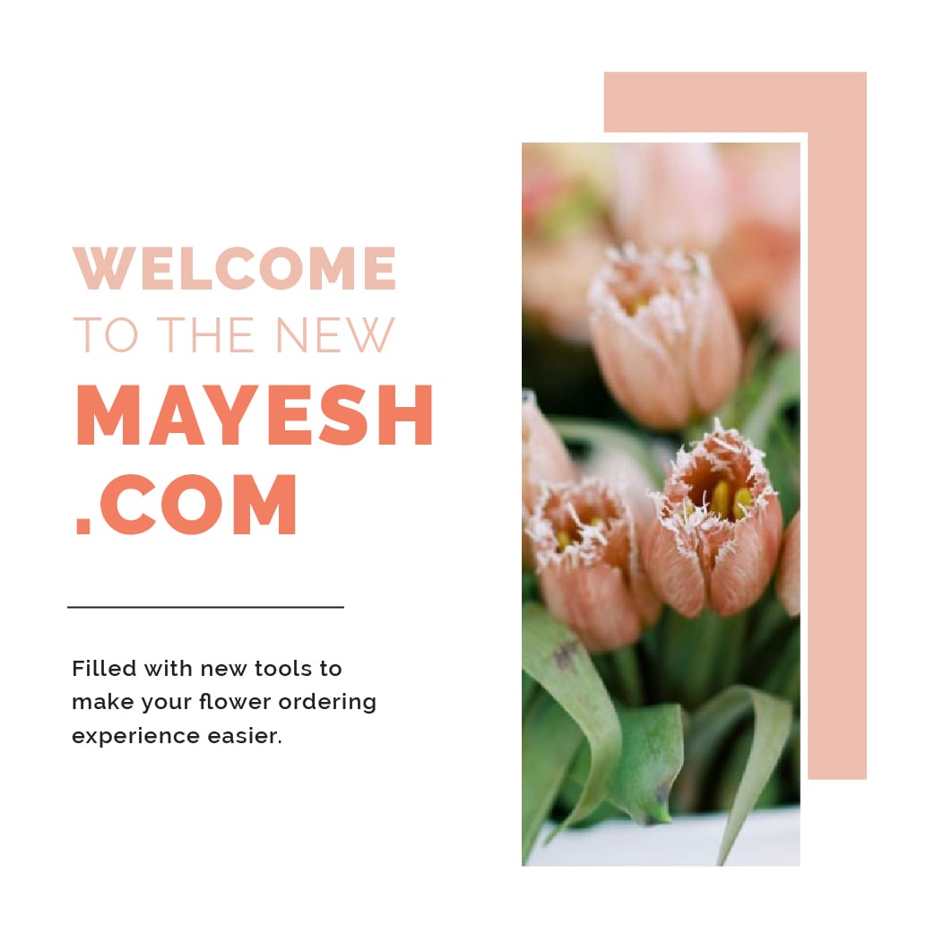 Mayesh launches new eCommerce website