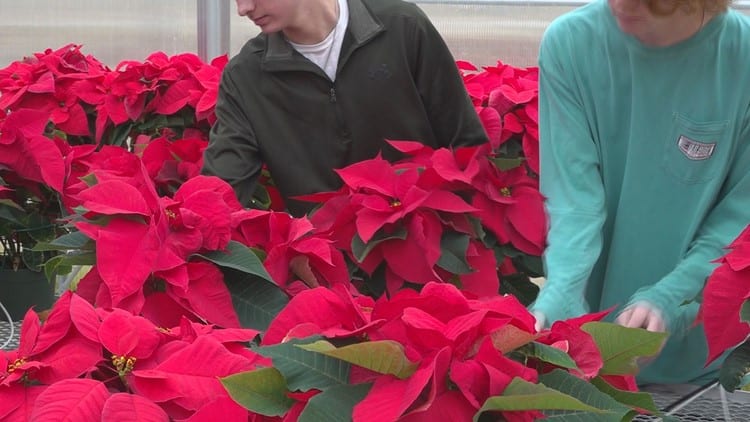 Midlands students raise and sell Poinsettias