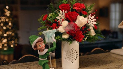 Teleflora Unwraps New Campaign, “The Elf,” to Pay Tribute to Those Who Orchestrate Holiday Magic