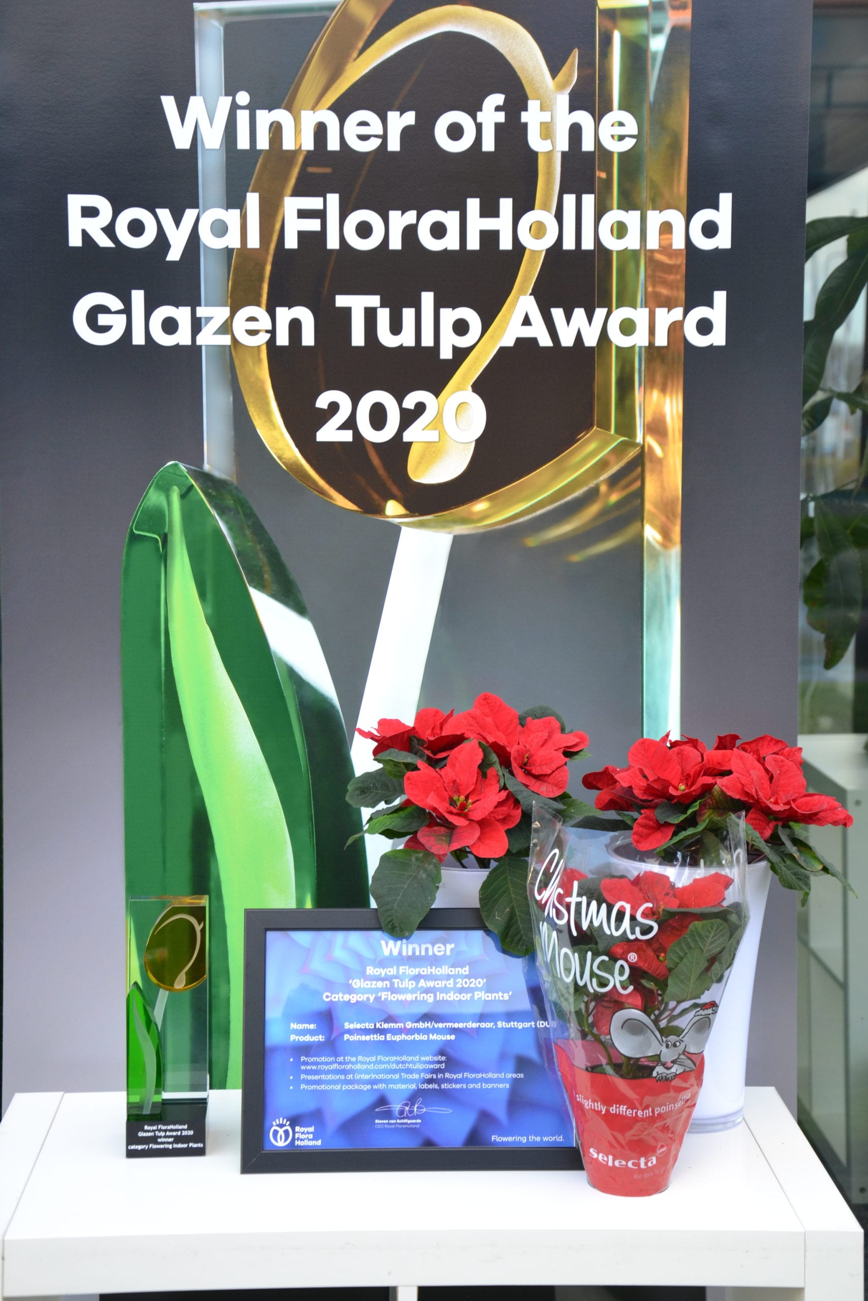 Selecta’s Christmas Mouse Wins Glazen Tulp Award 2020