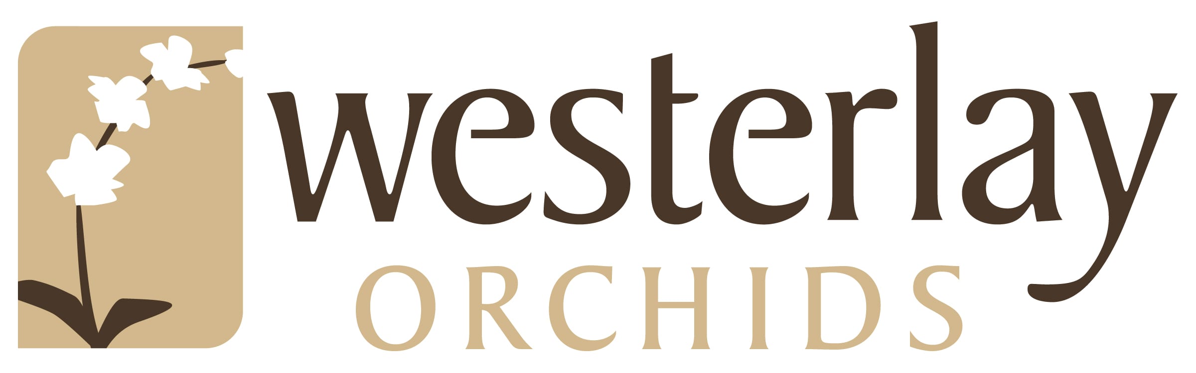 Westerlay Orchids Begins Expansion of “Most Sophisticated Facilities on the West Coast”