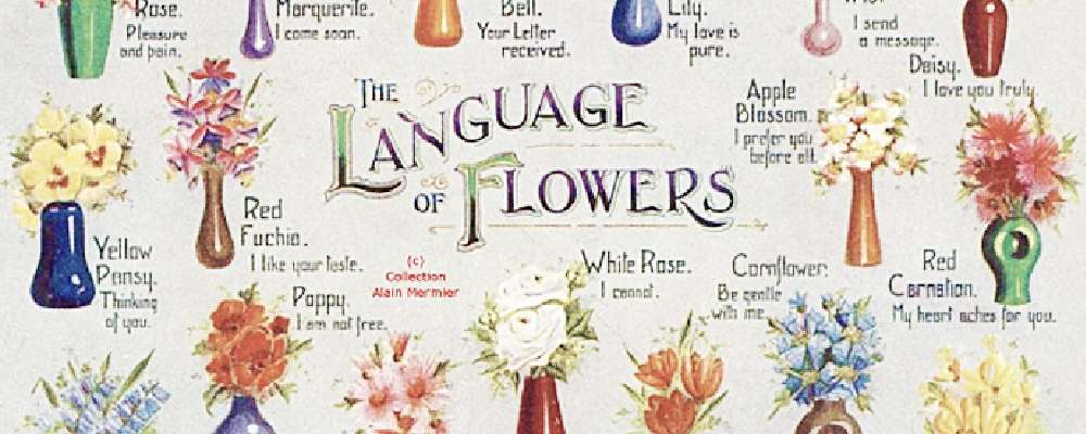 The Meaningful Language of Flowers