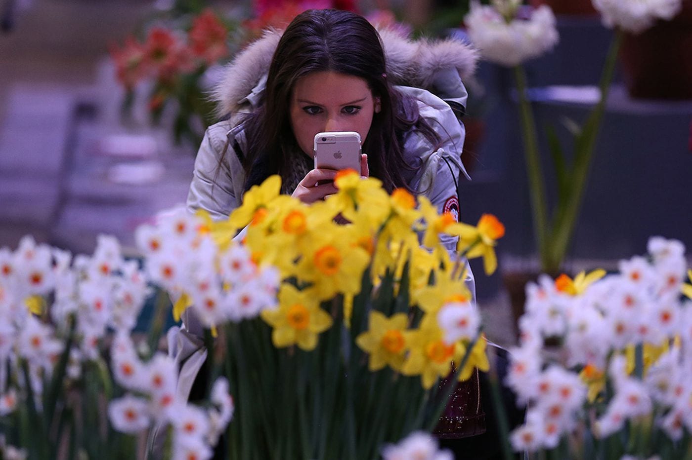 A spike in the cost of electricity at the Philadelphia Flower Show is shocking some vendors