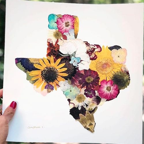 How A Dallas Artist’s Pressed Flower Business Blossomed