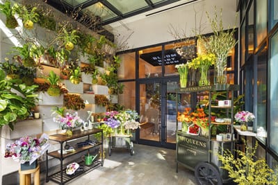 McQueens Flowers Announces New York Residency at Moxy Chelsea – Opening an Experiential Flower Studio in the Heart of the Flower District