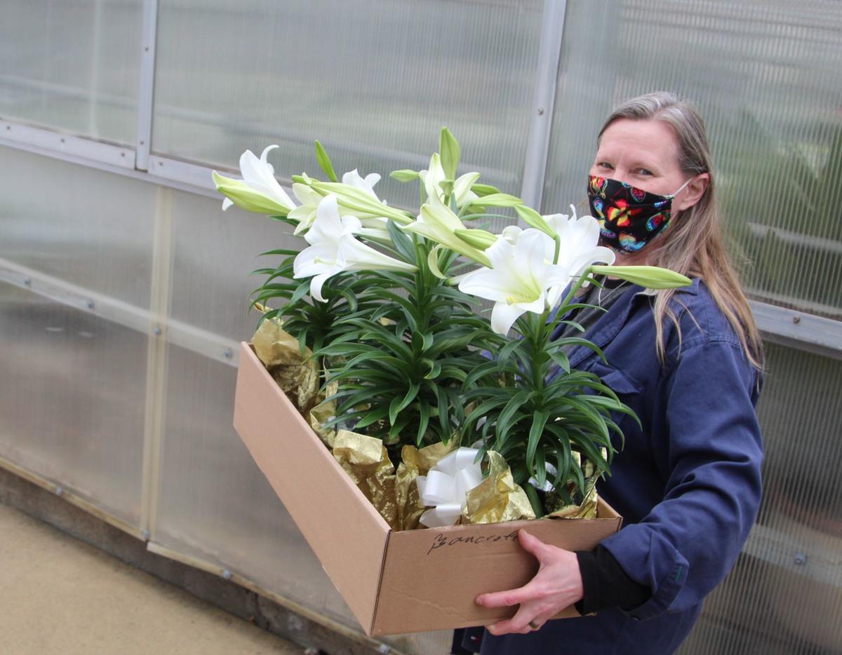 Flower sales are slow, but florists say plants like lilies spread joy