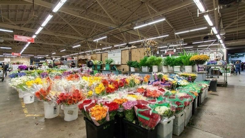 FLOWERS ARE STARTING TO BLOOM IN SAN FRANCISCO – SFFM OPENS FOR WHOLESALE DISTRIBUTION