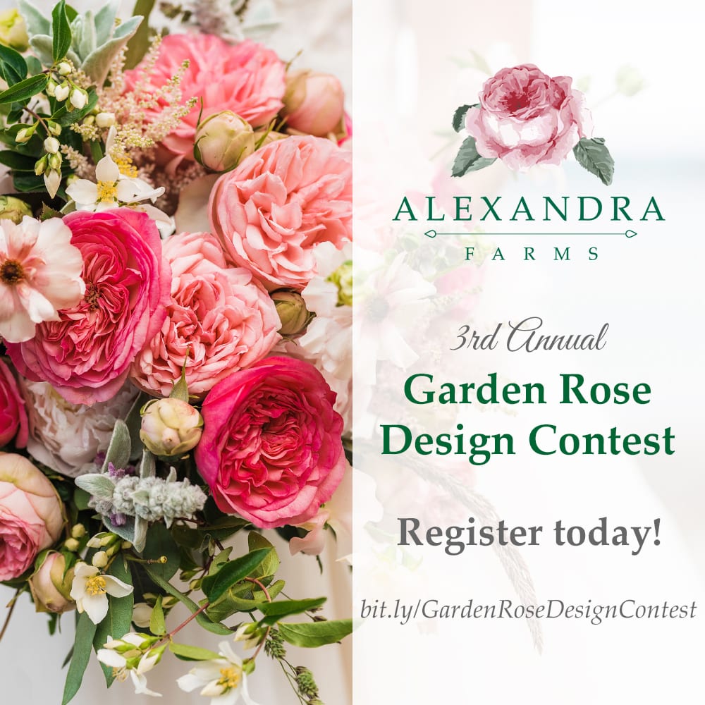 Alexandra Farms Garden Rose Design Contest