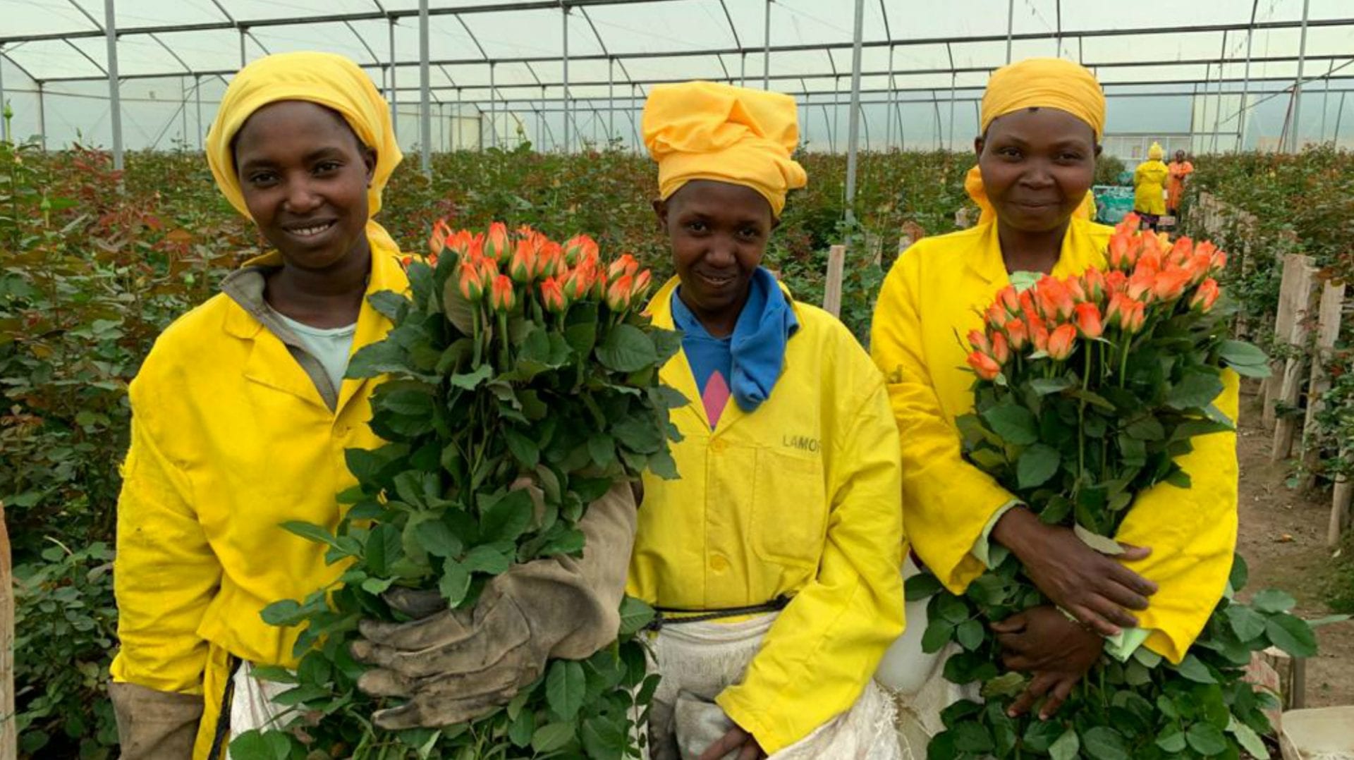 As Covid-19 devastates the global flower trade, we speak to a British florist and the Kenyan flower farmer thousands of miles away who supplies her to find out how their lives have been impacted