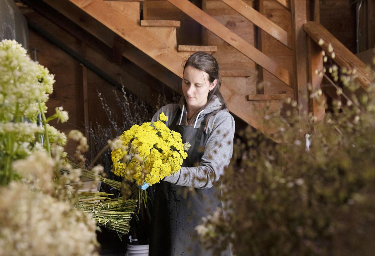 U.S. flower growers’ incomes snipped