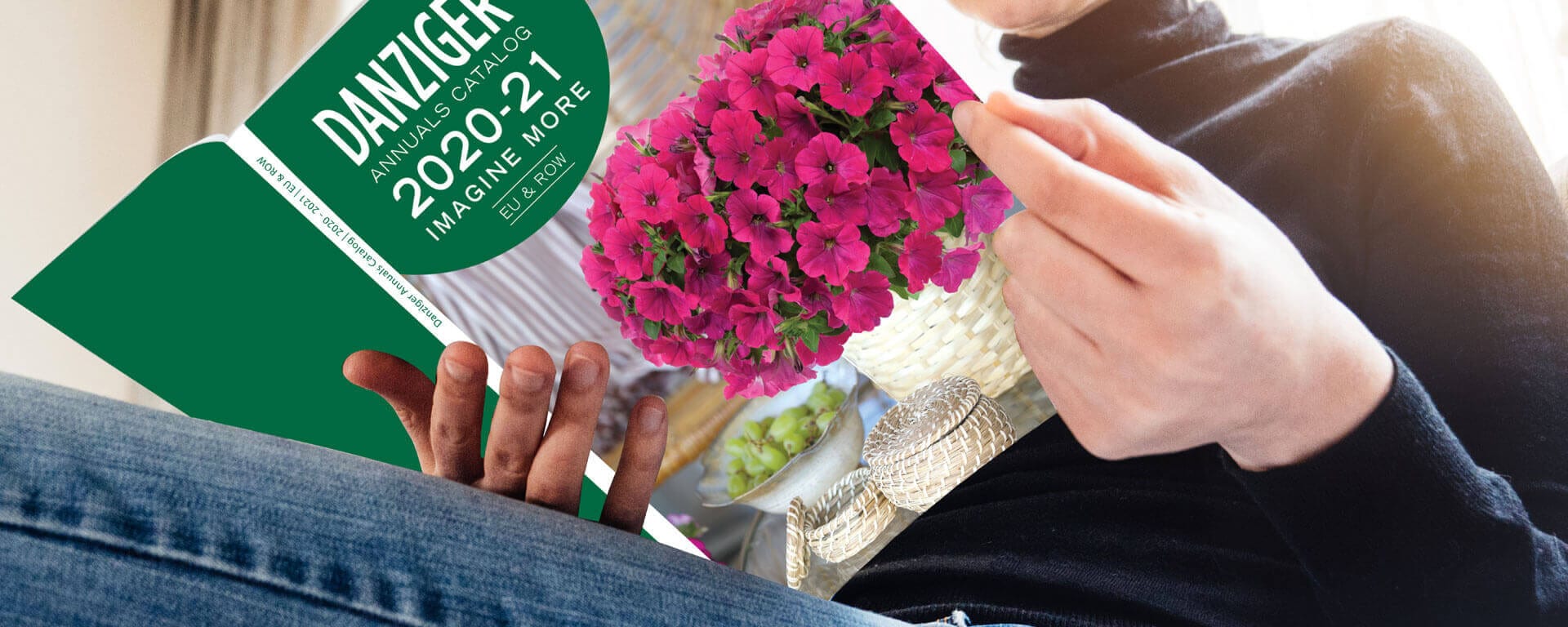 Danziger Launches its New Annuals Catalog for the 20-21 Season