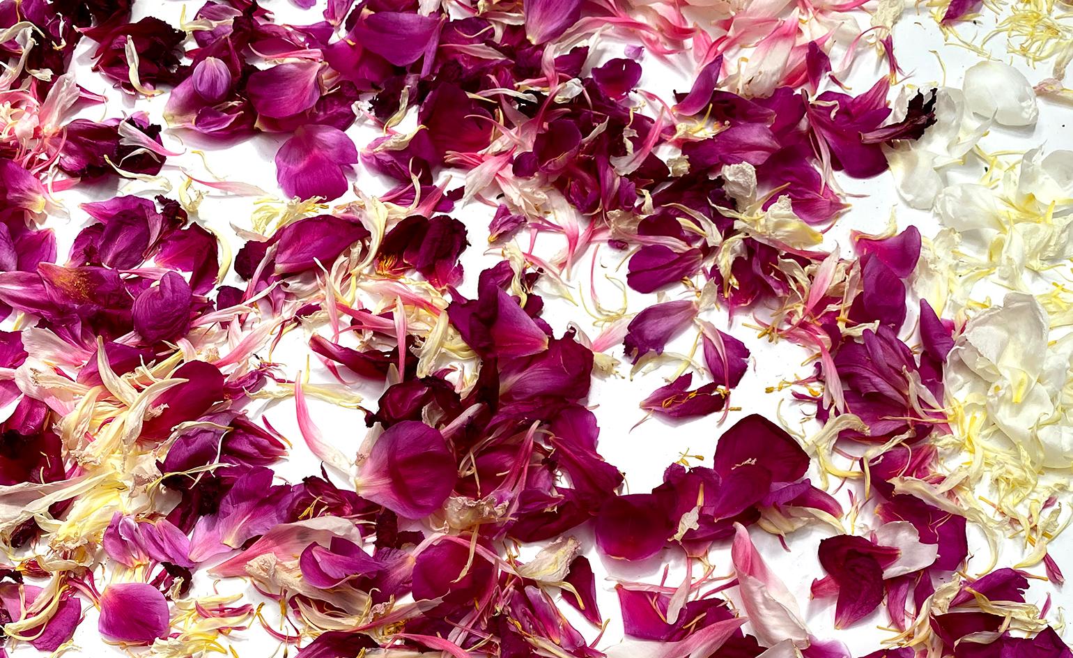 Recipes for uplifting rose-based remedies at home