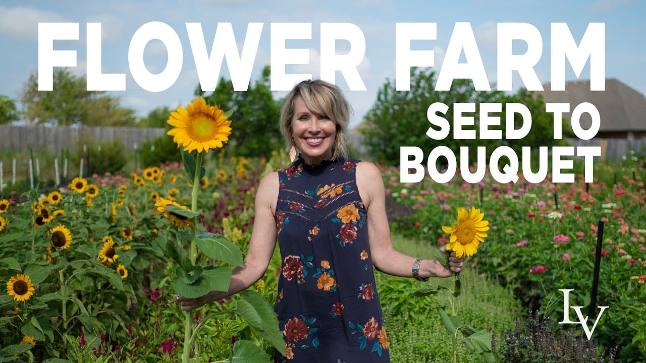 From Seed to Bouquet: Cut Flower Farm // Linda Vater ?