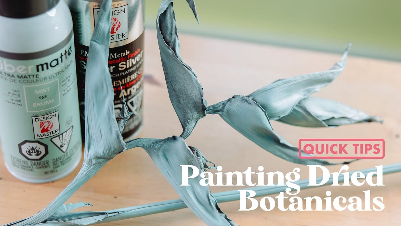 PAINTING DRIED BOTANICALS / Quick Tips with Hitomi Gilliam