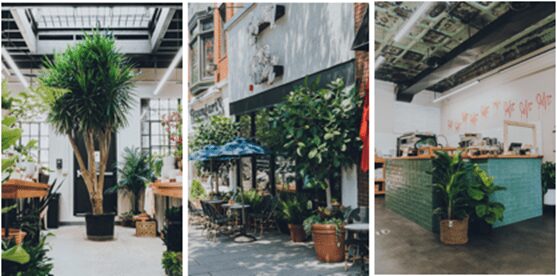 PlantShed Expands Floral Cafes Beyond New York with First New Jersey Location