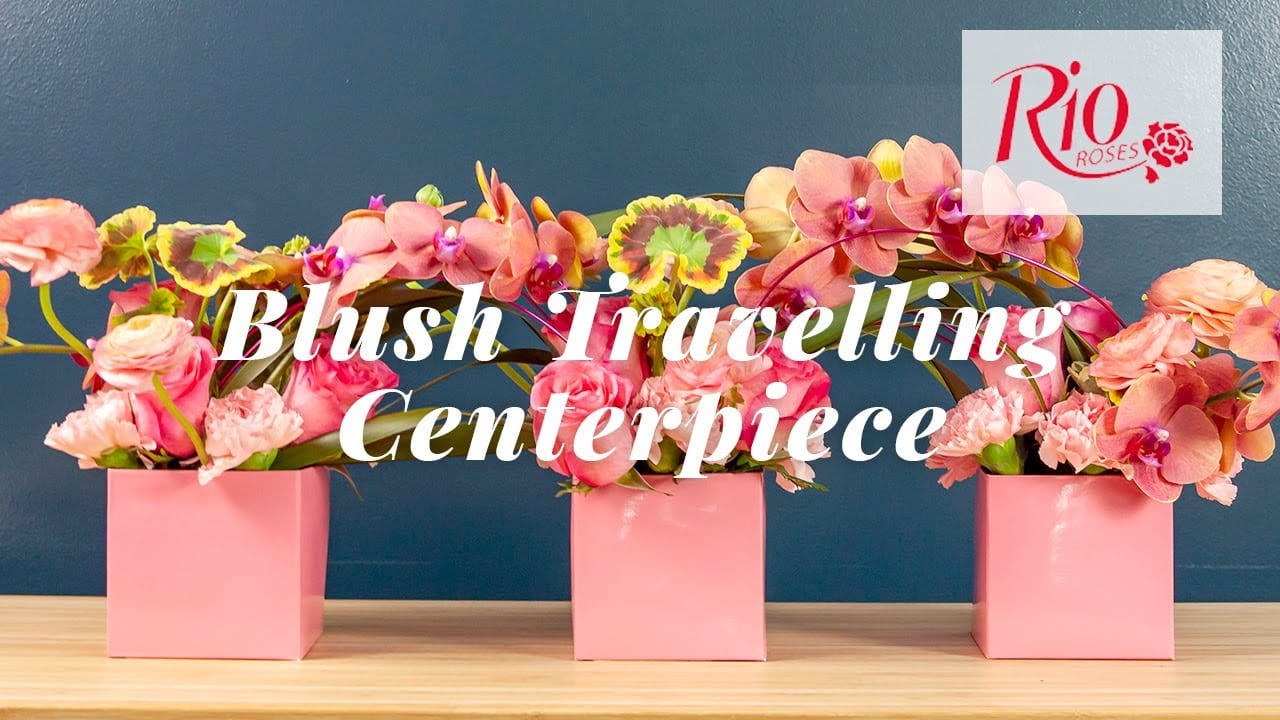 Blush “Traveling” Centerpiece