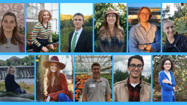 Meet the 2020 American Floral Endowment Scholarship Winners