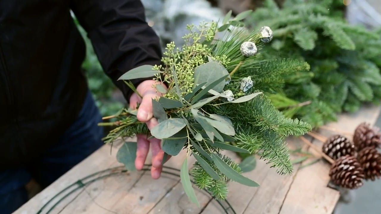 Make A Wreath with Eucalyptus and Evergreens!