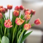 5 flower trends expected to surge in popularity in 2021