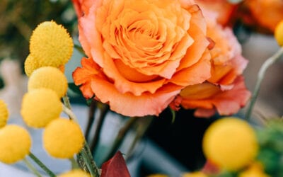 Share your thoughts about Florists’ Review