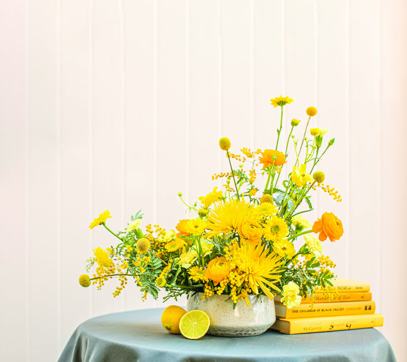 Kat Castagnoli_designer_OanaFoto_Photog_Yellow10 rev