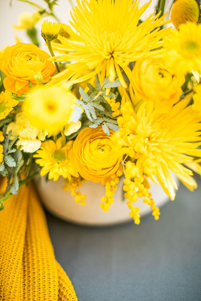 Kat Castagnoli_designer_OanaFoto_Photog_Yellow9_1