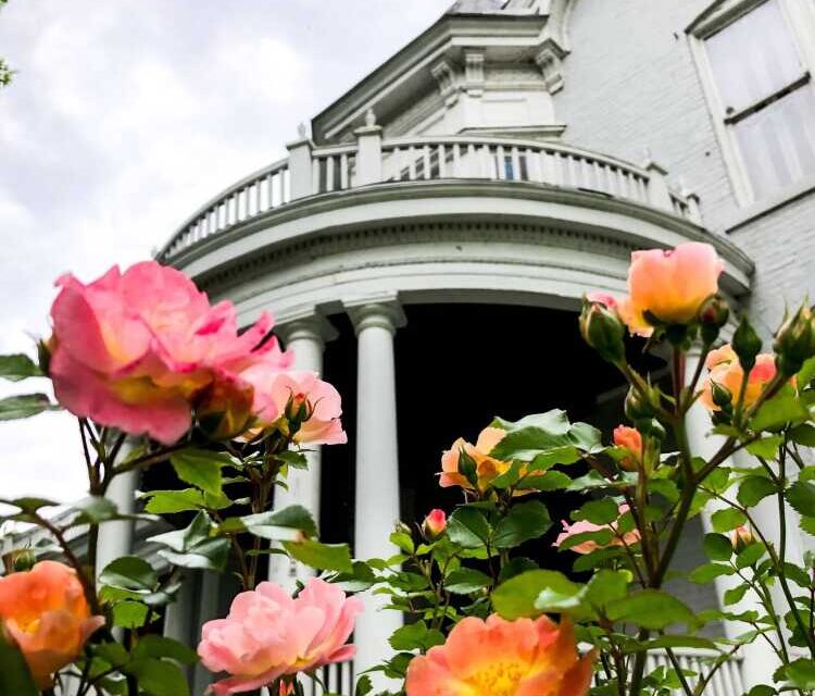 Art blooms just in time for spring