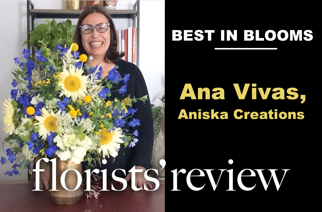 Aniska Creations