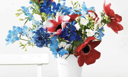 Elevate Your 4th of July Gathering with these Patriotic Varieties!