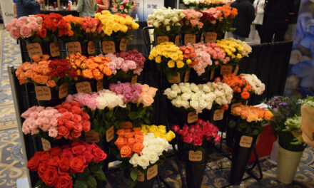 Canada Named Second Largest Export Market For Colombian Flowers
