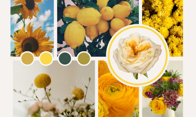 Upsell Florals Using Moodboard Inspiration