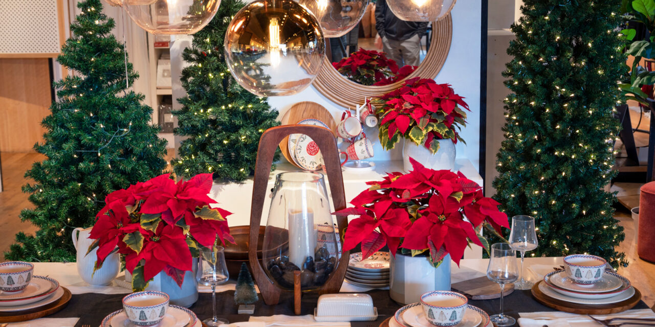 Marketing Houseplants for the Holidays