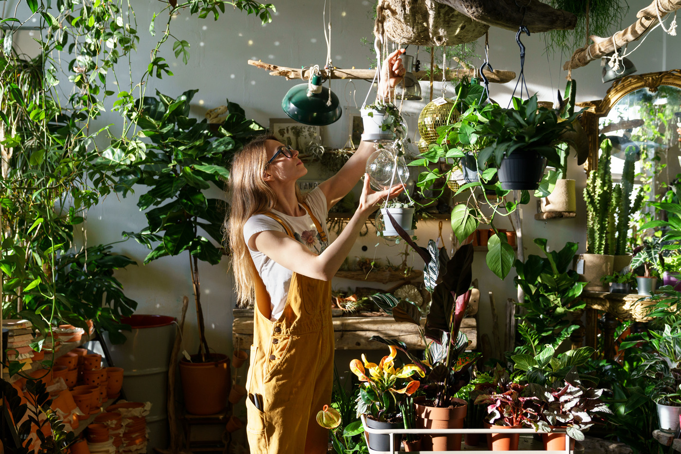 Growing The Houseplant Market Part 2 Florists Review