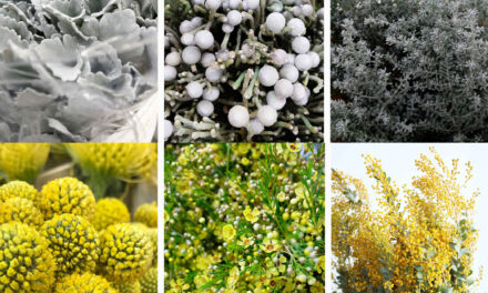2021 Pantone Colour of the Year Flower Inspiration