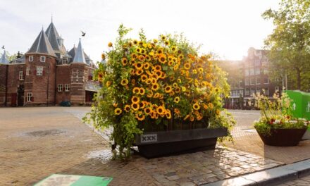 “The Sunflower Inspires” Collaboration between Takii and the Van Gogh Museum