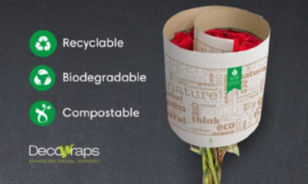 Finding Better Ways to Reduce Environmental Impact in the Floral Industry