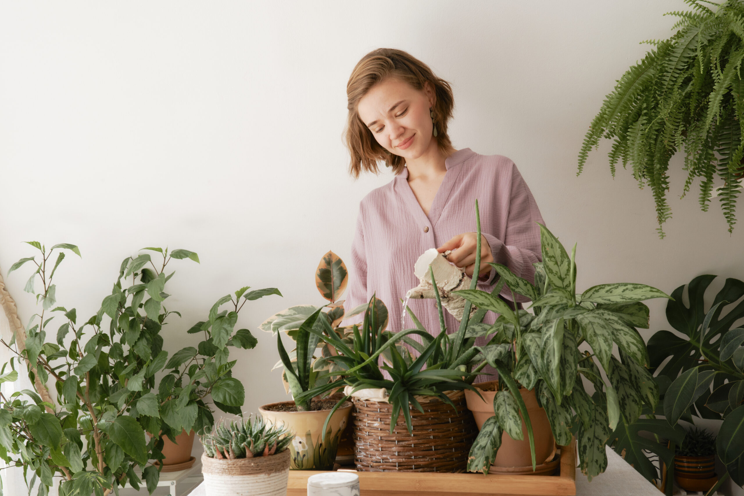 The Houseplant Boom Entices Younger Generations to Our Industry