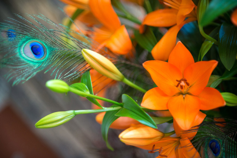 A Florist’s Guide To Lilies Florists' Review