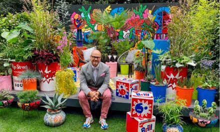 Designer John McPherson’s  Pop Street Garden At This Year’s Chelsea Flower Show