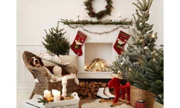 Albin Hagstrom & Son Officially Begins Christmas Holiday Season