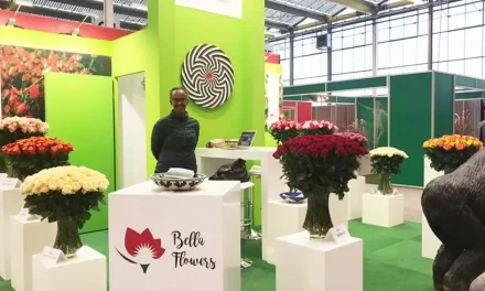 Dutch Expo Expands Market For Rwanda’s Flower Exports