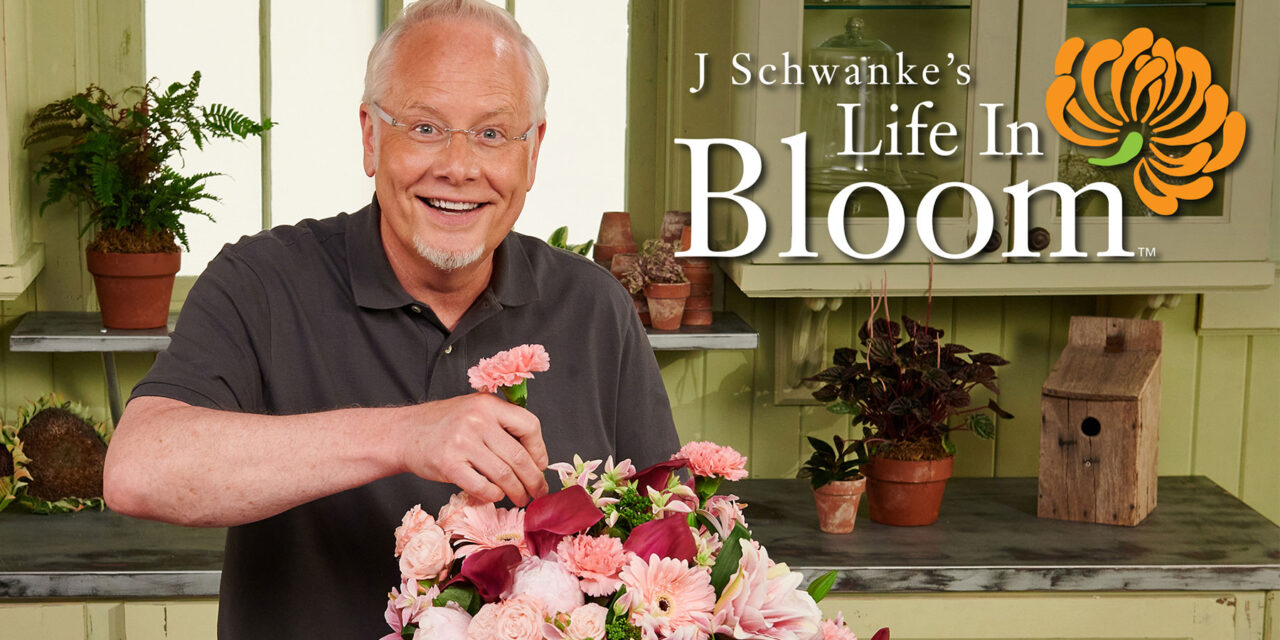 Life In Bloom TV Show Is Growing
