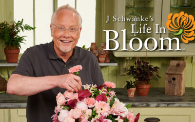 Life In Bloom TV Show Is Growing