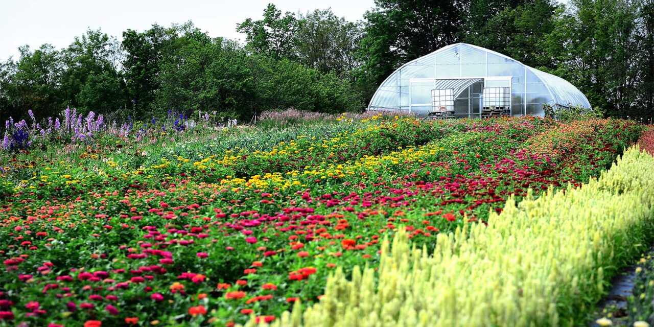 Cultivating Relationships with Flower Farmers