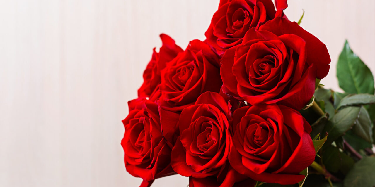 Care and Handling 101: Roses