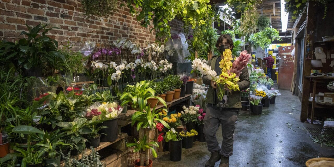 Hope Blooms at a Beloved Harvard Square Florist That Almost Shut Down