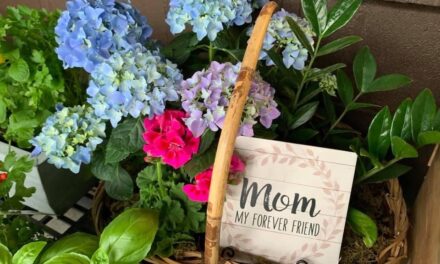 Mother’s Day Survival Guide
